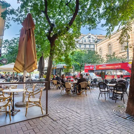 Absolute - Super Comfy Budapesta